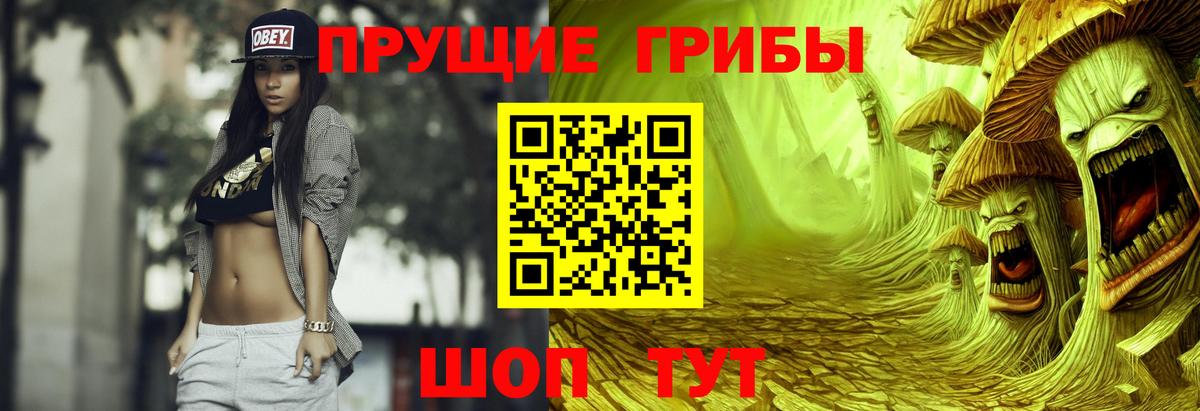 Галлюциногенные грибы прущие грибы Жигулёвск